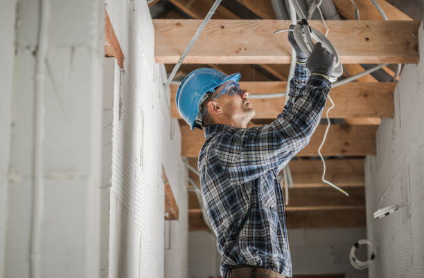 Best Home Electrical Repair  in Evart, MI