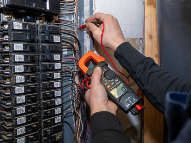 Best Electrical System Inspection  in Evart, MI